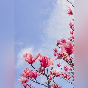 Meet your Posher, Martha